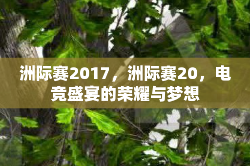 洲际赛2017,洲际赛20,电竞盛宴的荣耀与梦想 洲际赛2017,洲际赛20,电竞盛宴的荣耀与梦想