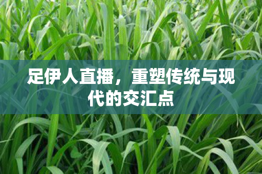 足伊人直播,重塑传统与现代的交汇点 足伊人直播,重塑传统与现代的交汇点