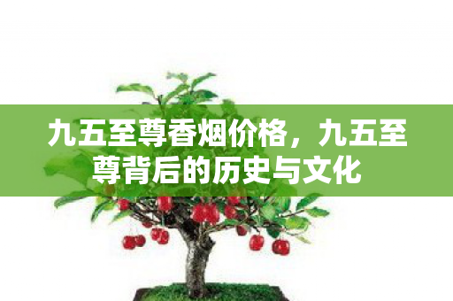 九五至尊香烟价格，九五至尊背后的历史与文化