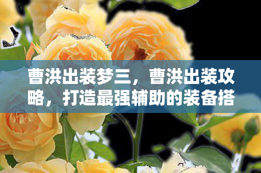 曹洪出装梦三，曹洪出装攻略，打造最强辅助的装备搭配