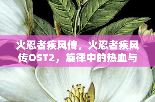 火忍者疾风传，火忍者疾风传OST2，旋律中的热血与感动