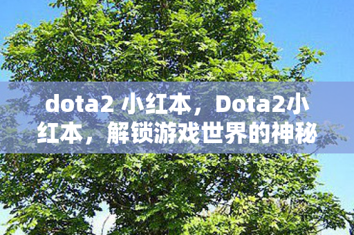 dota2 小红本，Dota2小红本，解锁游戏世界的神秘钥匙