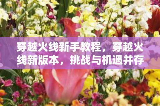 穿越火线新手教程，穿越火线新版本，挑战与机遇并存