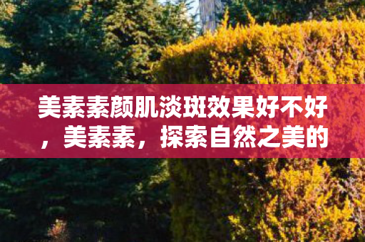 美素素颜肌淡斑效果好不好，美素素，探索自然之美的秘密