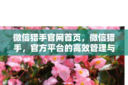 微信猎手官网首页,微信猎手,官方平台的高效管理与便捷服务 微信猎手官网首页,微信猎手,官方平台的高效管理与便捷服务