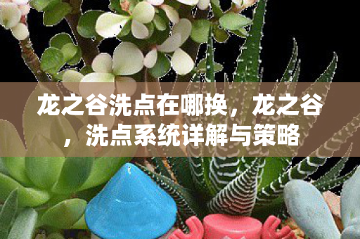 龙之谷洗点在哪换，龙之谷，洗点系统详解与策略