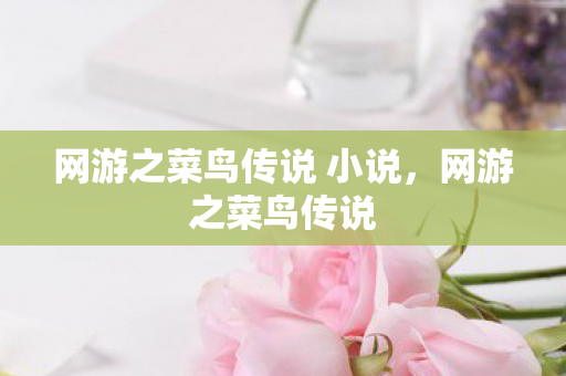 网游之菜鸟传说 小说,网游之菜鸟传说 网游之菜鸟传说 小说,网游之菜鸟传说