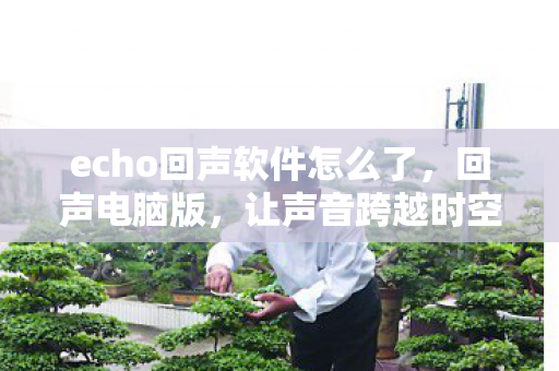 echo回声软件怎么了，回声电脑版，让声音跨越时空的界限