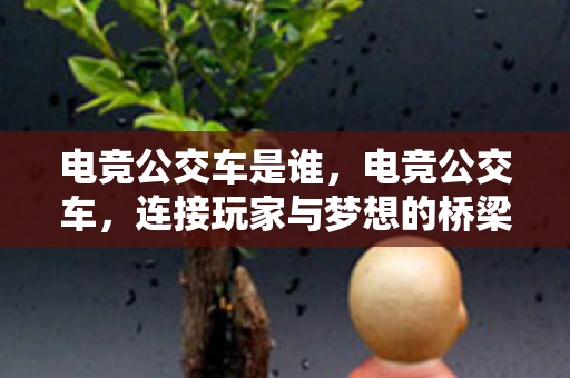 电竞公交车是谁，电竞公交车，连接玩家与梦想的桥梁