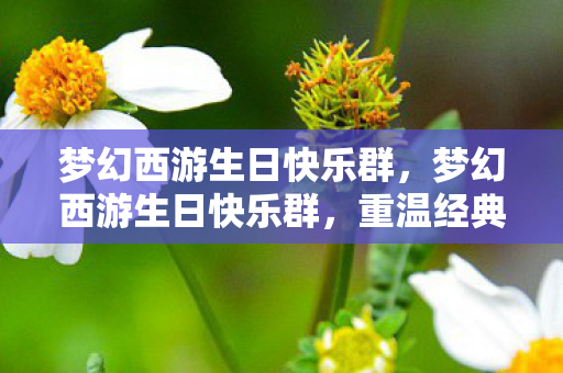 梦幻西游生日快乐群，梦幻西游生日快乐群，重温经典，共庆生辰