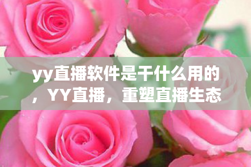 yy直播软件是干什么用的,YY直播,重塑直播生态,引领娱乐新风尚 yy直播软件是干什么用的,YY直播,重塑直播生态,引领娱乐新风尚