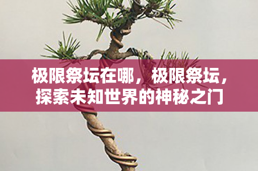 极限祭坛在哪,极限祭坛,探索未知世界的神秘之门 极限祭坛在哪,极限祭坛,探索未知世界的神秘之门