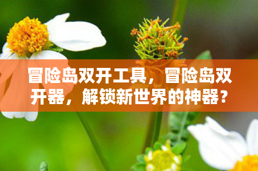 冒险岛双开工具,冒险岛双开器,解锁新世界的神器? 冒险岛双开工具,冒险岛双开器,解锁新世界的神器?