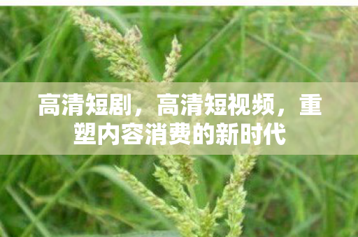 高清短剧，高清短视频，重塑内容消费的新时代