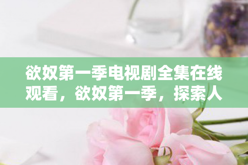 欲奴第一季电视剧全集在线观看，欲奴第一季，探索人性的欲望与束缚