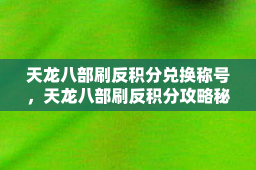 天龙八部刷反积分兑换称号，天龙八部刷反积分攻略秘籍