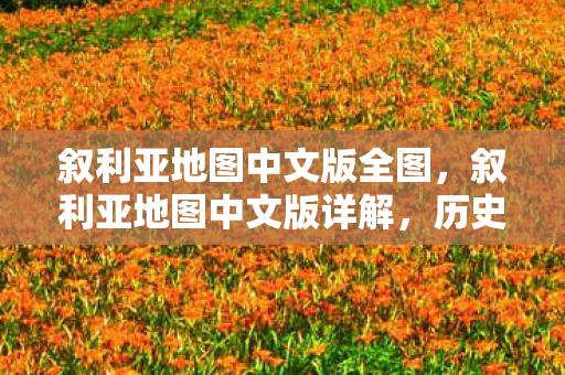 叙利亚地图中文版全图,叙利亚地图中文版详解,历史、地理与文化交汇的瑰宝 叙利亚地图中文版全图,叙利亚地图中文版详解,历史、地理与文化交汇的瑰宝