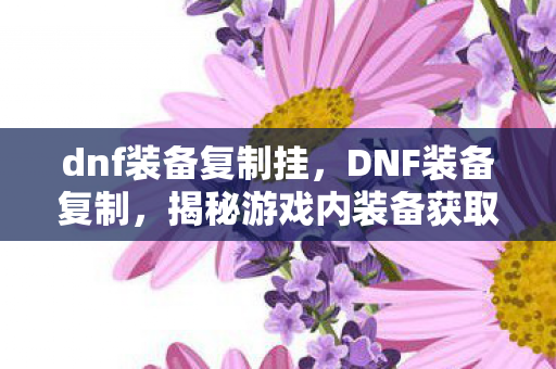 dnf装备复制挂，DNF装备复制，揭秘游戏内装备获取的另类途径