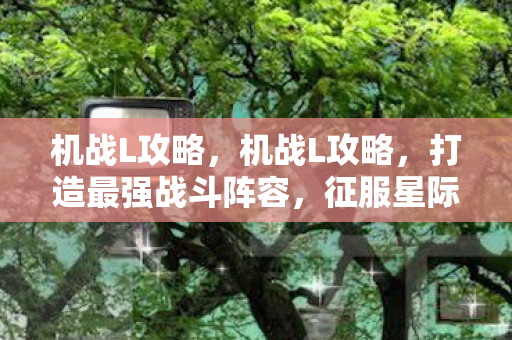 机战L攻略，机战L攻略，打造最强战斗阵容，征服星际战场