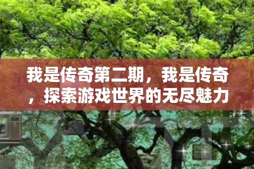 我是传奇第二期，我是传奇，探索游戏世界的无尽魅力