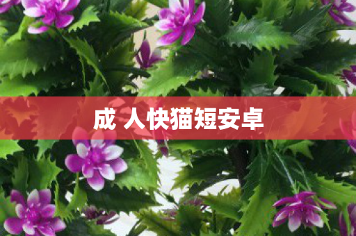 成 人快猫短安卓 成 人快猫短安卓