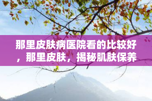 那里皮肤病医院看的比较好,那里皮肤,揭秘肌肤保养的奥秘 那里皮肤病医院看的比较好,那里皮肤,揭秘肌肤保养的奥秘