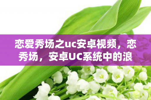 恋爱秀场之uc安卓视频,恋秀场,安卓UC系统中的浪漫邂逅 恋爱秀场之uc安卓视频,恋秀场,安卓UC系统中的浪漫邂逅