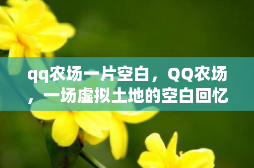 qq农场一片空白，QQ农场，一场虚拟土地的空白回忆