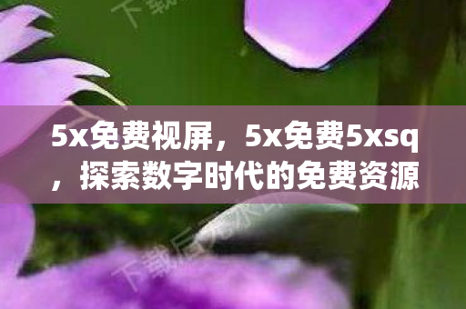 5x免费视屏，5x免费5xsq，探索数字时代的免费资源盛宴
