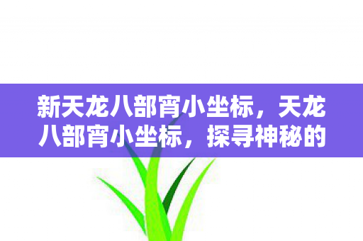 新天龙八部宵小坐标，天龙八部宵小坐标，探寻神秘的江湖秘境