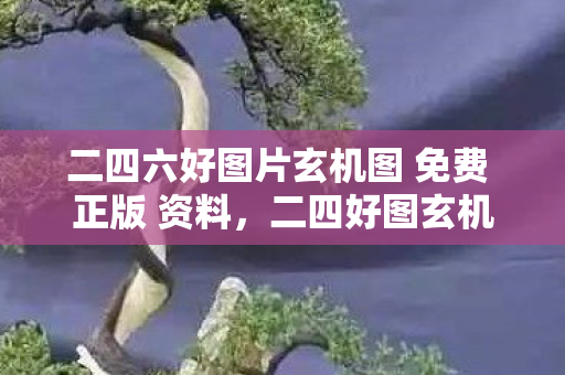 二四六好图片玄机图 免费 正版 资料，二四好图玄机图308，解锁数字背后的秘密