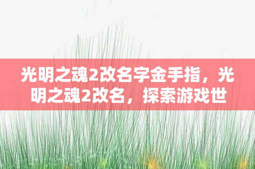 光明之魂2改名字金手指，光明之魂2改名，探索游戏世界的无限可能