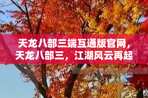 天龙八部三端互通版官网，天龙八部三，江湖风云再起，英雄儿女再聚首