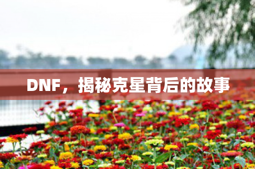 DNF，揭秘克星背后的故事