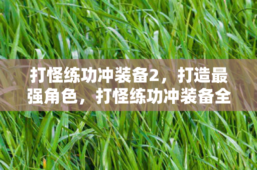 打怪练功冲装备2,打造最强角色,打怪练功冲装备全攻略 打怪练功冲装备2,打造最强角色,打怪练功冲装备全攻略