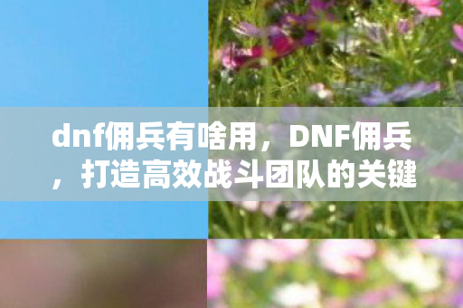 dnf佣兵有啥用,DNF佣兵,打造高效战斗团队的关键角色 dnf佣兵有啥用,DNF佣兵,打造高效战斗团队的关键角色