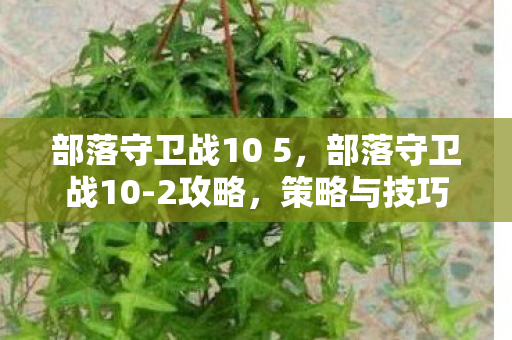 部落守卫战10 5，部落守卫战10-2攻略，策略与技巧的全面解析