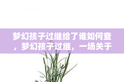 梦幻孩子过继给了谁如何查,梦幻孩子过继,一场关于爱与传承的仪式 梦幻孩子过继给了谁如何查,梦幻孩子过继,一场关于爱与传承的仪式