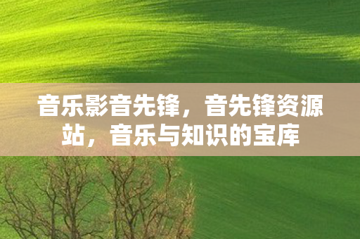 音乐影音先锋,音先锋资源站,音乐与知识的宝库 音乐影音先锋,音先锋资源站,音乐与知识的宝库