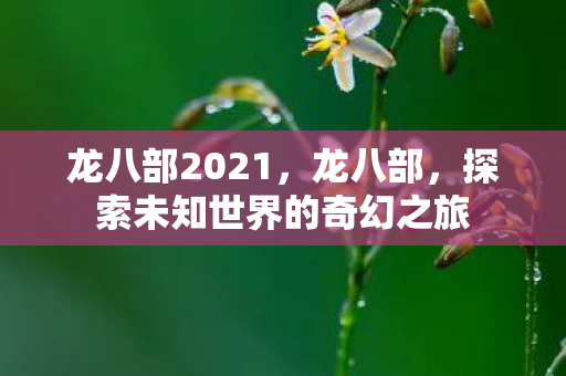 龙八部2021，龙八部，探索未知世界的奇幻之旅