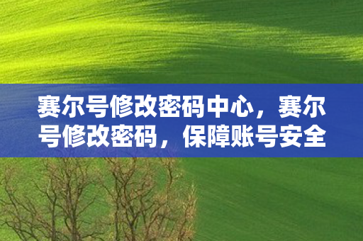赛尔号修改密码中心,赛尔号修改密码,保障账号安全,享受无忧游戏 赛尔号修改密码中心,赛尔号修改密码,保障账号安全,享受无忧游戏