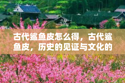 古代鲨鱼皮怎么得,古代鲨鱼皮,历史的见证与文化的传承 古代鲨鱼皮怎么得,古代鲨鱼皮,历史的见证与文化的传承