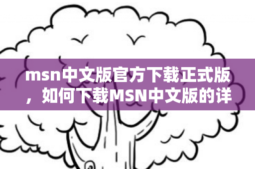 msn中文版官方下载正式版,如何下载MSN中文版的详细指南 msn中文版官方下载正式版,如何下载MSN中文版的详细指南