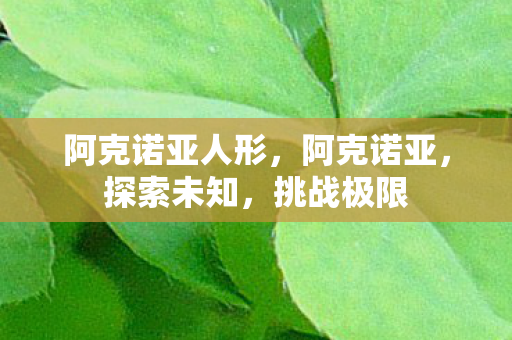 阿克诺亚人形,阿克诺亚,探索未知,挑战极限 阿克诺亚人形,阿克诺亚,探索未知,挑战极限