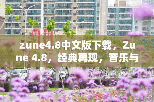 zune4.8中文版下载，Zune 4.8，经典再现，音乐与生活的完美融合