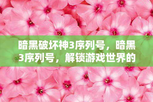 暗黑破坏神3序列号，暗黑3序列号，解锁游戏世界的神秘钥匙