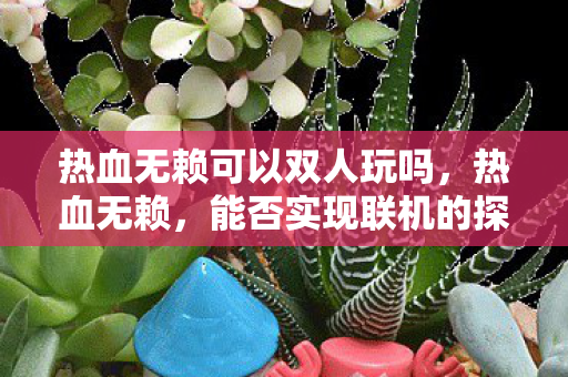 热血无赖可以双人玩吗,热血无赖,能否实现联机的探索 热血无赖可以双人玩吗,热血无赖,能否实现联机的探索