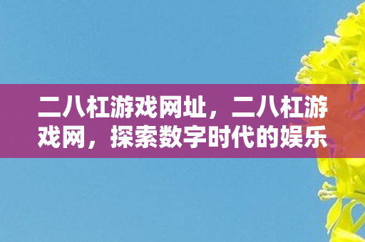 二八杠游戏网址,二八杠游戏网,探索数字时代的娱乐新选择 二八杠游戏网址,二八杠游戏网,探索数字时代的娱乐新选择