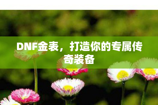 DNF金表,打造你的专属传奇装备 DNF金表,打造你的专属传奇装备
