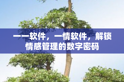 一一软件,一情软件,解锁情感管理的数字密码 一一软件,一情软件,解锁情感管理的数字密码